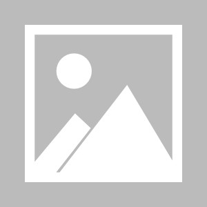  尼斯主教练赛后批评裁判争议判罚  